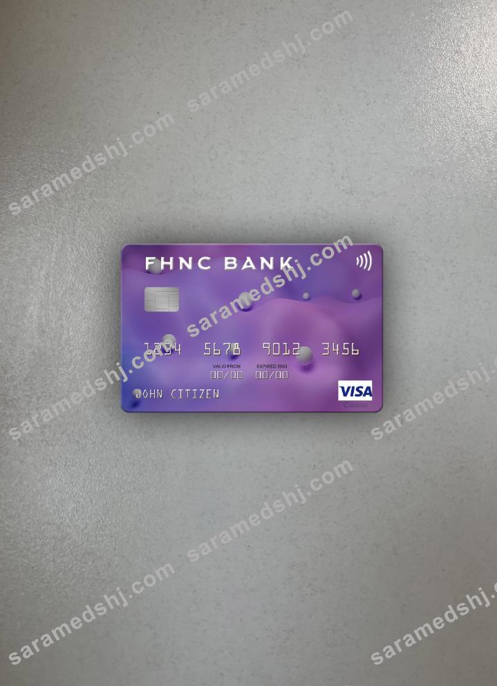 USA First Horizon National Corporation Bank visa card photolook front